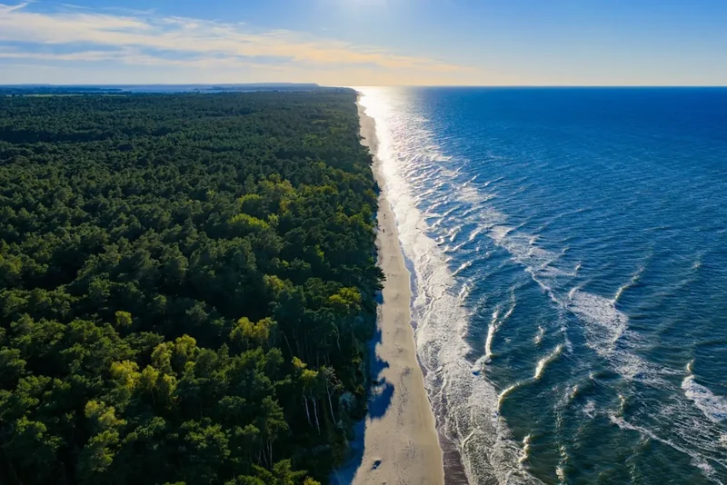 Wybrzeże i las — fotografia w publikacji Magicznego Łukęcina